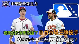 響尾蛇扮演黑馬搶下自由市場王牌投手，林昱珉今年上大聯盟難度變高？中華隊未來主力【紫風聊棒球-Ep.332】