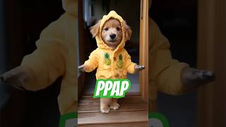 Dog PPAP Dance 😂  #dog #ppap #dance #dogdance #petdance