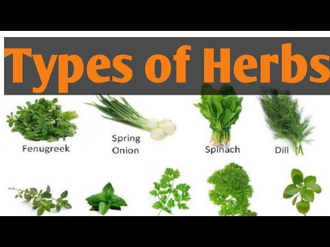 Can I have a list of herbs?
