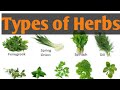 Types of Herbs|| different types of Herbs Names || Herbs ||  lunatic Cook