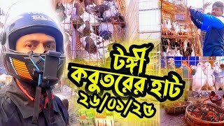 কেমন ছিল গতকালের টঙ্গী কবুতরের হাট || Tongi Pigeon Market || টঙ্গী হাটে কবুতরের দাম কেমন