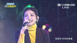 李千那【那A安呢】2019 依舊幸福 花現台中跨年晚會