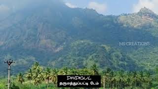 *…நம்ம ஊரு…* 🔥 DINDIGUL 🔥 *தருமத்துப்பட்டி 🌳 D.கோம்பை 💦🌊 டேம்* 🌴🌲