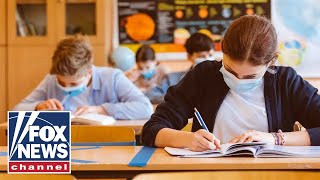 Woke culture is 'infecting schools,' says author of 'Woke Inc.'