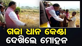 ଗଜା ଧାନ କେଣ୍ଡା ଦେଖିଲେ ମୋହନ | Odisha Reporter