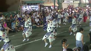 水玉連2019両国本町演舞場＜左側＞阿波おどりAWAODORI徳島TOKUSHIMA＜2日目8/13＞