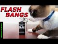 Flash-Bang & Stingball Grenades