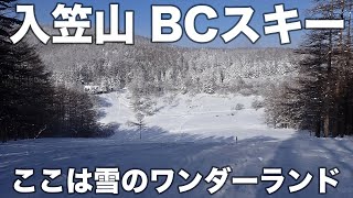 入笠山 BCスキー 2025年1月10日 ここは雪のワンダーランド(^^)