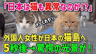 【海外の反応】「こんな猫は日本にしかいないわ！」日本の野良猫は異常なのか！？それとも！？外国人女性が驚愕！猫が好きすぎて日本の猫島へ行った衝撃の反応w