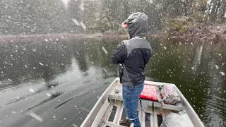 We were pretty shocked how large this fish was (fly fishing winter)