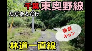 【林道一直線】　千葉　林道　東奥野線