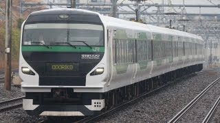 E257系5000番台踊り子　新子安駅通過シーン