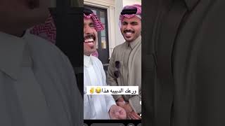 سنابات غازي الذيابي | مخلد وابو حشر لازم يتهاوشون😂😂#غازي_الذيابي