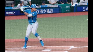 万波中正 選手打撃フォーム【スロー映像あり】北海道日本ハムファイターズ