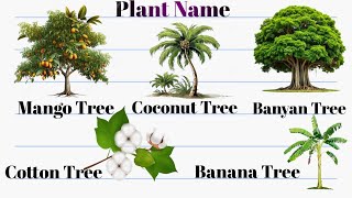 10 Plants Names || Plant name || pedh podhe ke name || Mango tree, Banana Tree || Masti wali ABCD