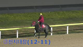 11/13 jeju 3race 1000m