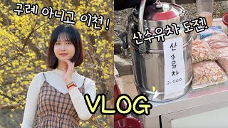 VLOG 경기도에서도 산수유 구경 쌉가능(이천 백사 산수유 마을)