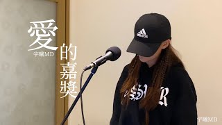 宇曦MD cover 張碧晨｜愛的嘉獎《愛的二八定律》電視劇主題曲