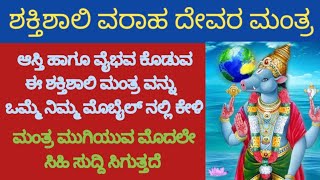 ಆಸ್ತಿ ಹಾಗೂ ವೈಭವ ಕೊಡುವ ಈ ಶಕ್ತಿಶಾಲಿ ವರಾಹ ದೇವರ ಮಂತ್ರ|Varaha deva mantra ||Kannada||