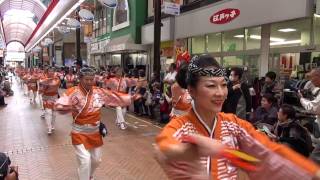 本丁筋踊り子隊 2016沼津よさこい東海道 前日祭 仲見世 mususukunjp