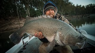 Koolubung Surface Lure's "Murray Cod - Hit's - Hook'ups - Misses"