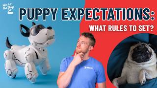 How Do You Know What Expectations To Set For Your Dog?