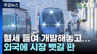 혈세로 개발한 고속철·트램, 외국산에 국내 시장 뺏길 판...오늘 KTX 입찰 결과 발표 / YTN