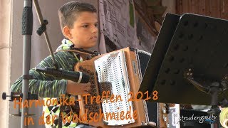 Steirische Zieharmonika  Treffen in der Waldschmiede