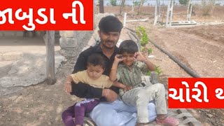 અમારી વાડી ⛰️|MY farmer|વાડીએ જાબુડા ની મોજ |VILLAGE LIFE |