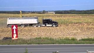 World Record Super Fast Corn Harvest