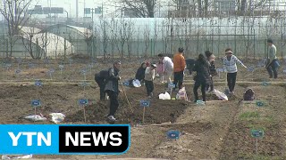 [날씨] 봄 맞아 도시 농부 돼볼까...꽃샘추위 낮부터 풀려 / YTN