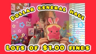 ✨BIG ✨DOLLAR GENERAL HAUL || LOTS OF $1.00 FINDS 3.2.25