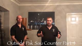 How to use Pak Sau on the outside Ip Man Wing Chun Style PART 4