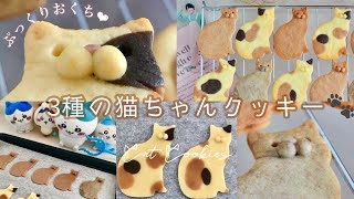 三毛猫、サバトラ、茶トラ…ぷっくりお口がかわちい🤍3種の猫ちゃんクッキー作り🐈🐾