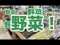 群馬県東部見聞録③～新鮮野菜、生産者の想いと共に！ ＪＡ邑楽館林農産物直売所 でんえんマルシェ～｜太田行政県税事務所｜群馬県