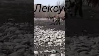 асп бономи лексус 570