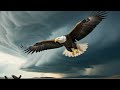 eagle and the storm चील और तूफान inspirational story