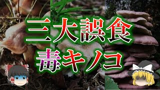 絶対に食べるな！食用と似ている三大毒キノコについて【ゆっくり解説】