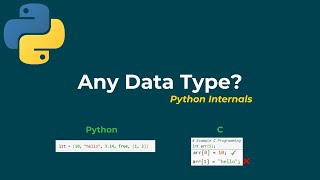 Why Python Data Structures Can Store Any Data Type | Python Internals Explained