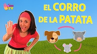 AL CORRO DE LA PATATA - MUSIKIDS CON BAILE PARA CANTAR Y JUGAR