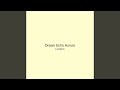 Dream Echo Aurora