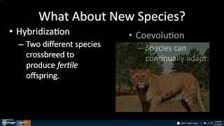 APES, Chapter 4, Lecture #1, 2021