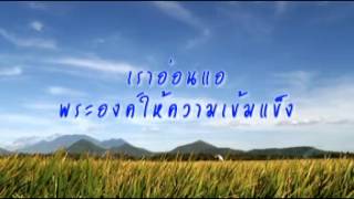 ฝากความหวัง