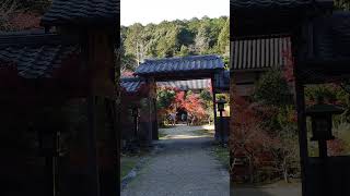 2024／12／06三重県度会郡玉城町　禅寺「廣泰寺」