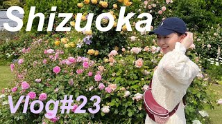 【散歩Vlog】GWに静岡に行きました🎀とろさんぽ #23