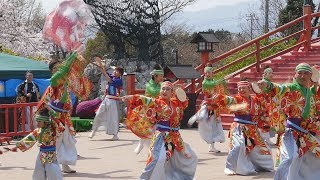 YOSAKOI富士山祭り2019「妃龍」