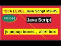 js popup boxes , alert box