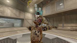 Random Testing SFM video