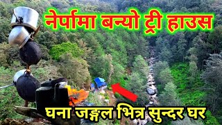 खोटाङको नेर्पामा घना जङ्गलभित्र यति सुन्दर घर || Beautiful Tree House || खोटाङकै सुन्दर गाउँ नेर्पा