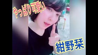 【Tik Tok】 紺野栞さんの笑顔を集めて応援する2 《しーわかチャンネル》